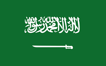 Rino de Arabia Saudita